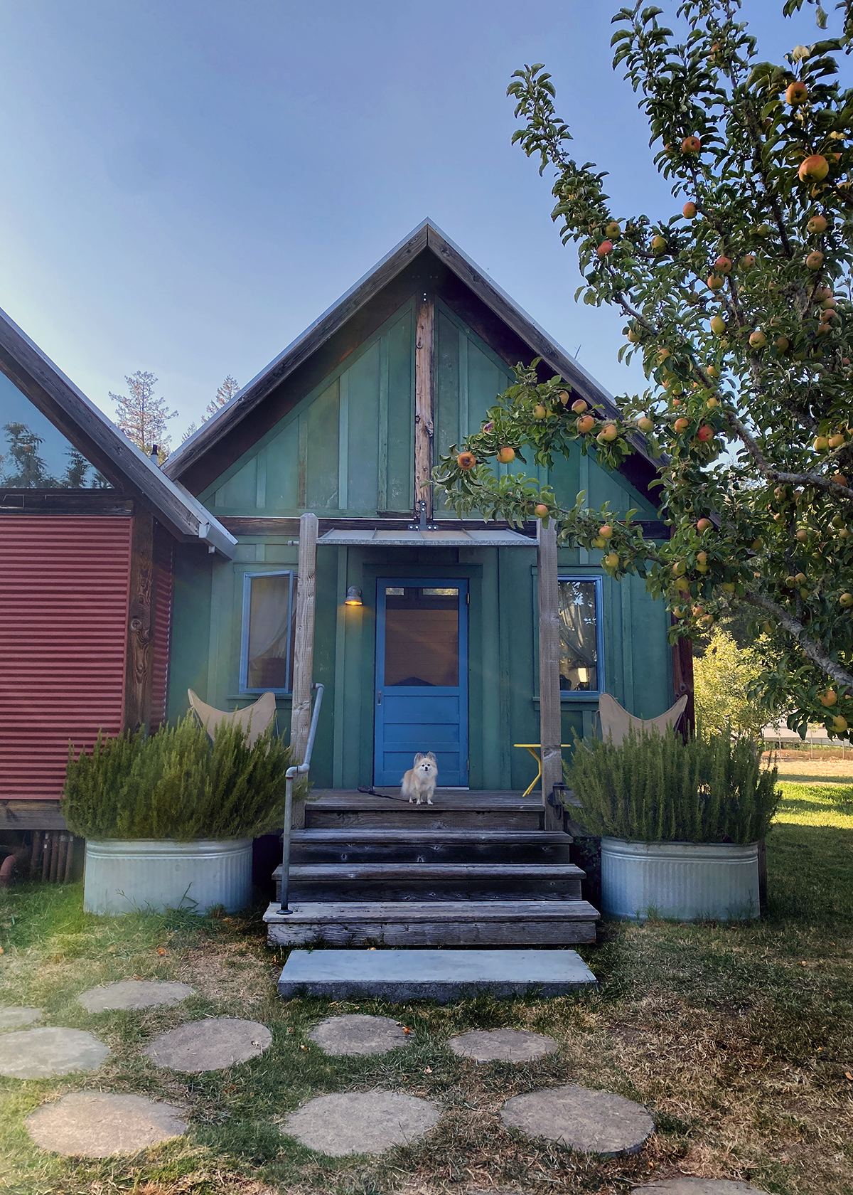 philo apple farm cottage blue with dog